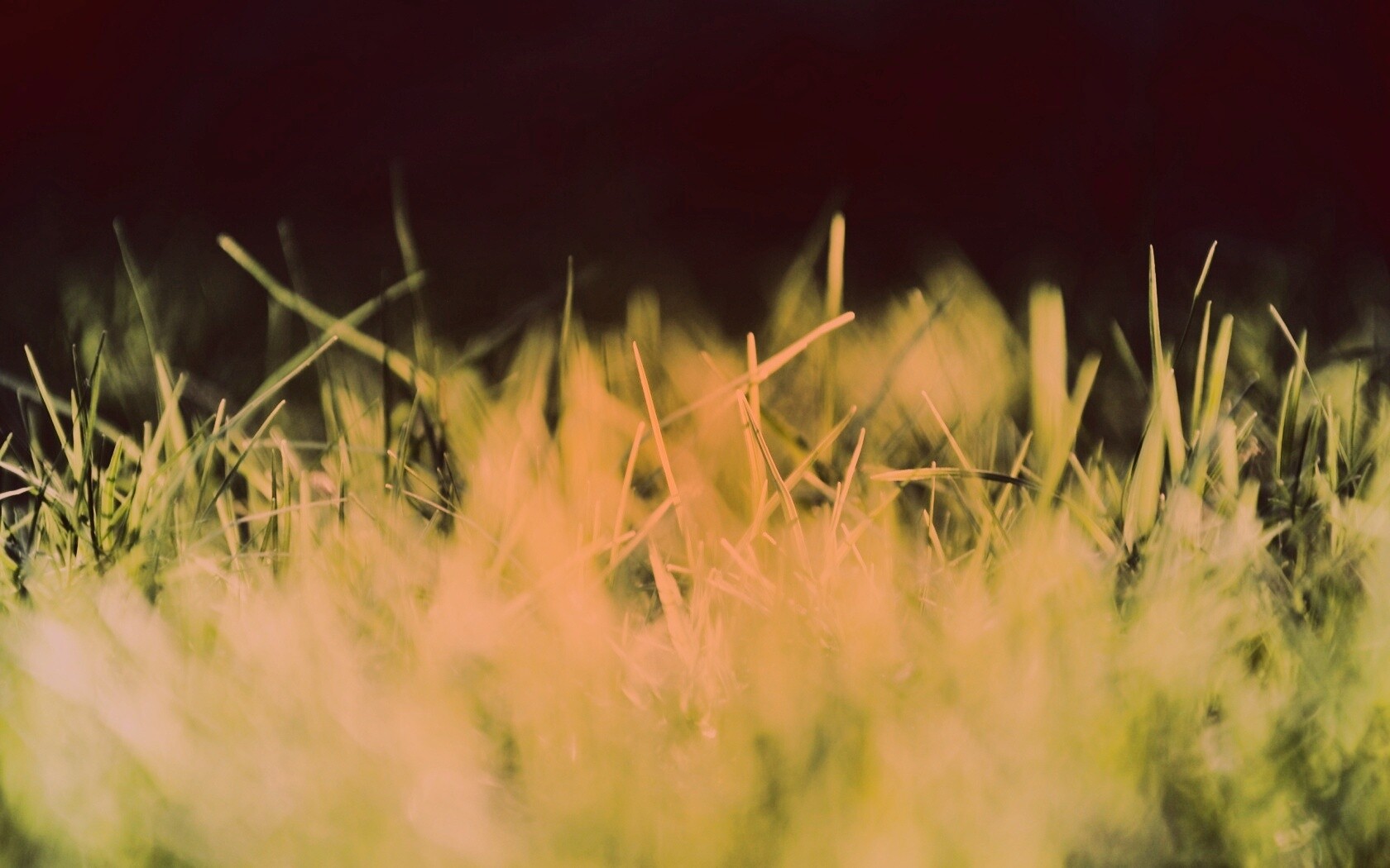 Играя солнечным светом обои