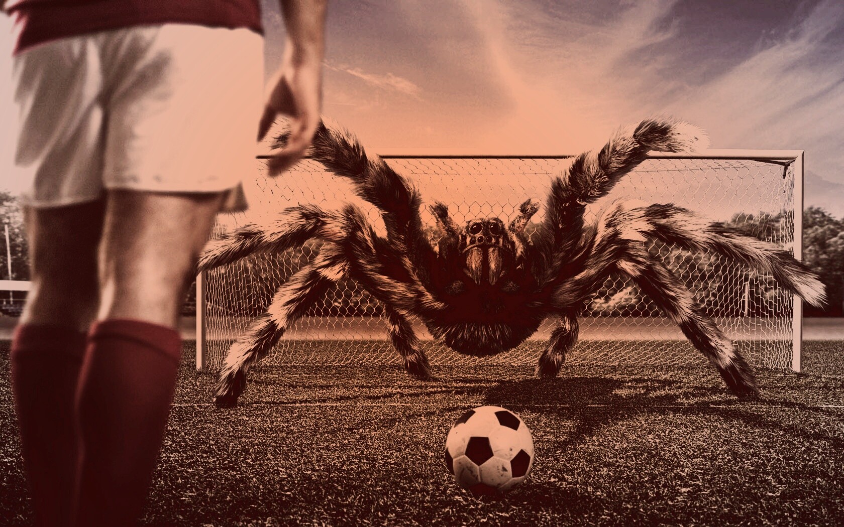 Вратарь обои