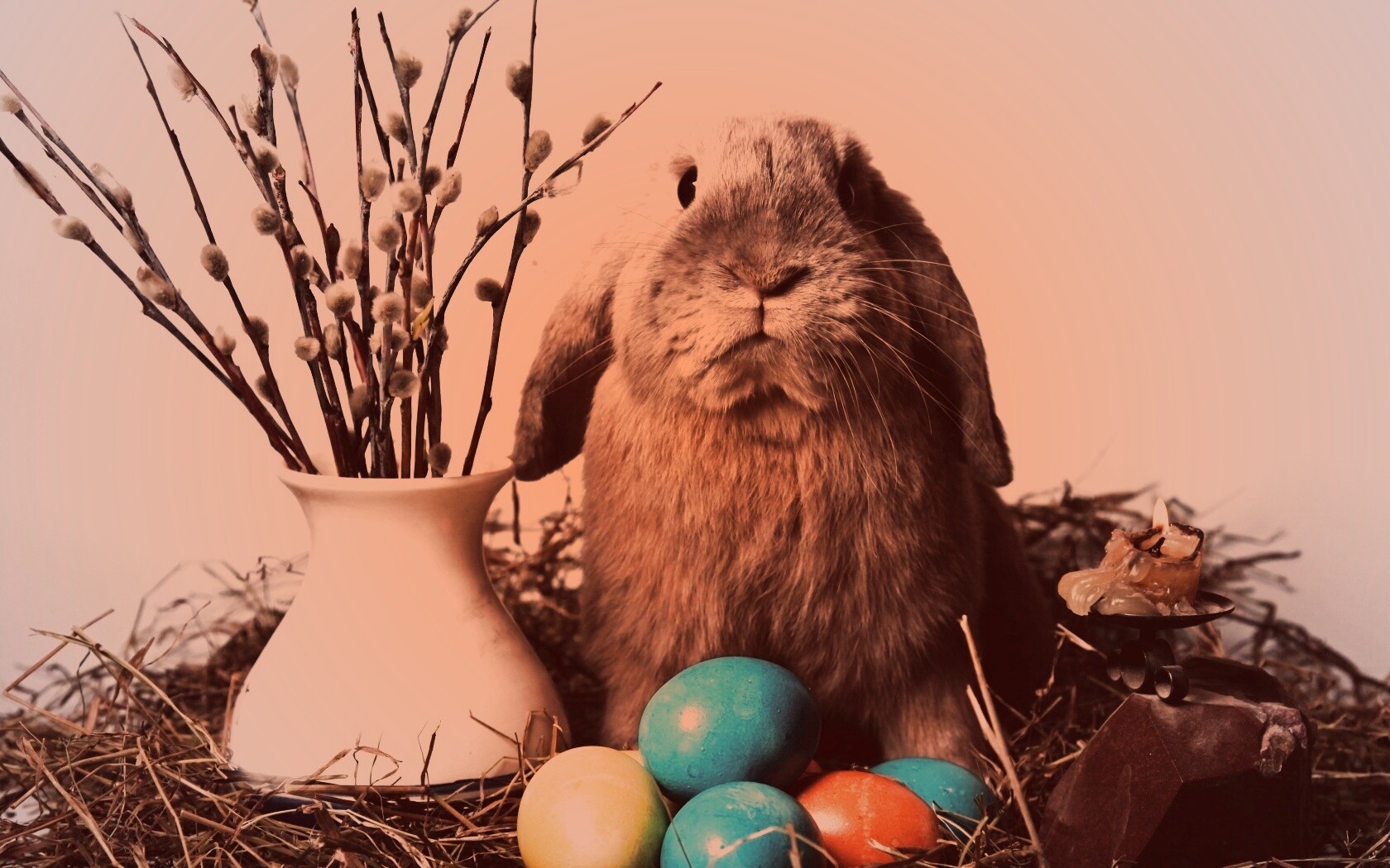Пасхальный кролик обои