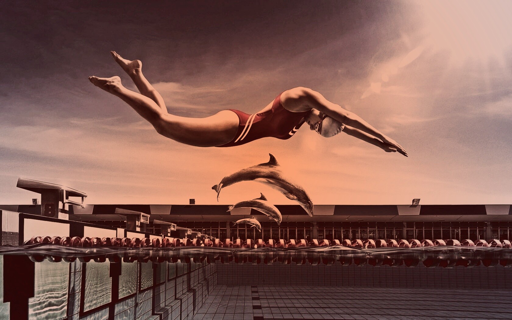 Соревнование обои