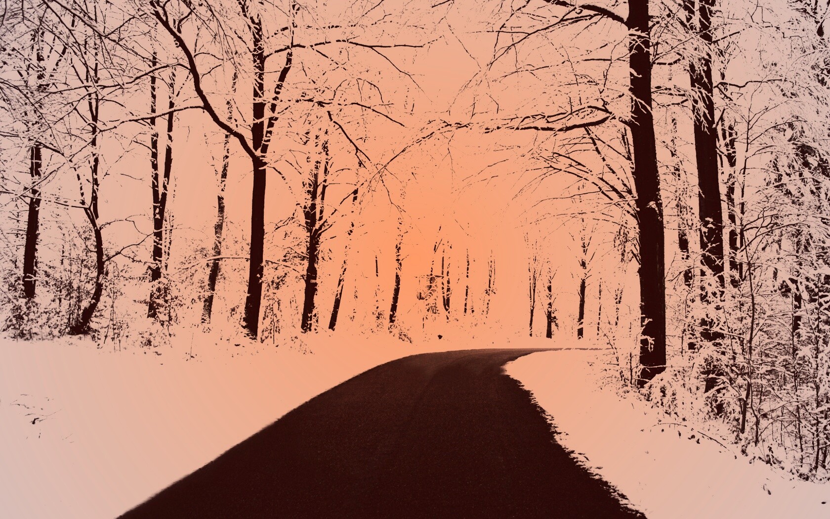 Дорога в зимнем лесу обои