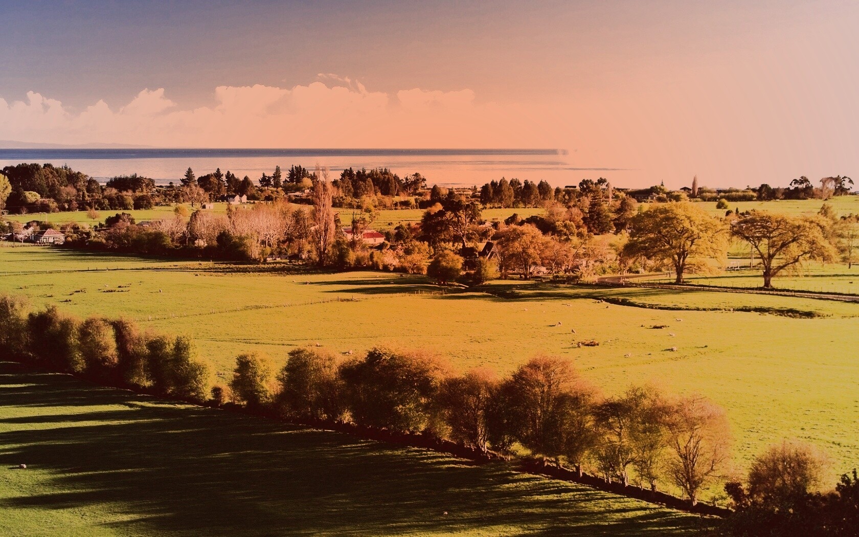 Сельская природа обои