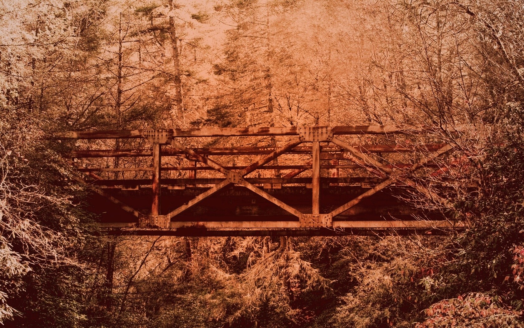 Металлический мост в лесной глуши обои