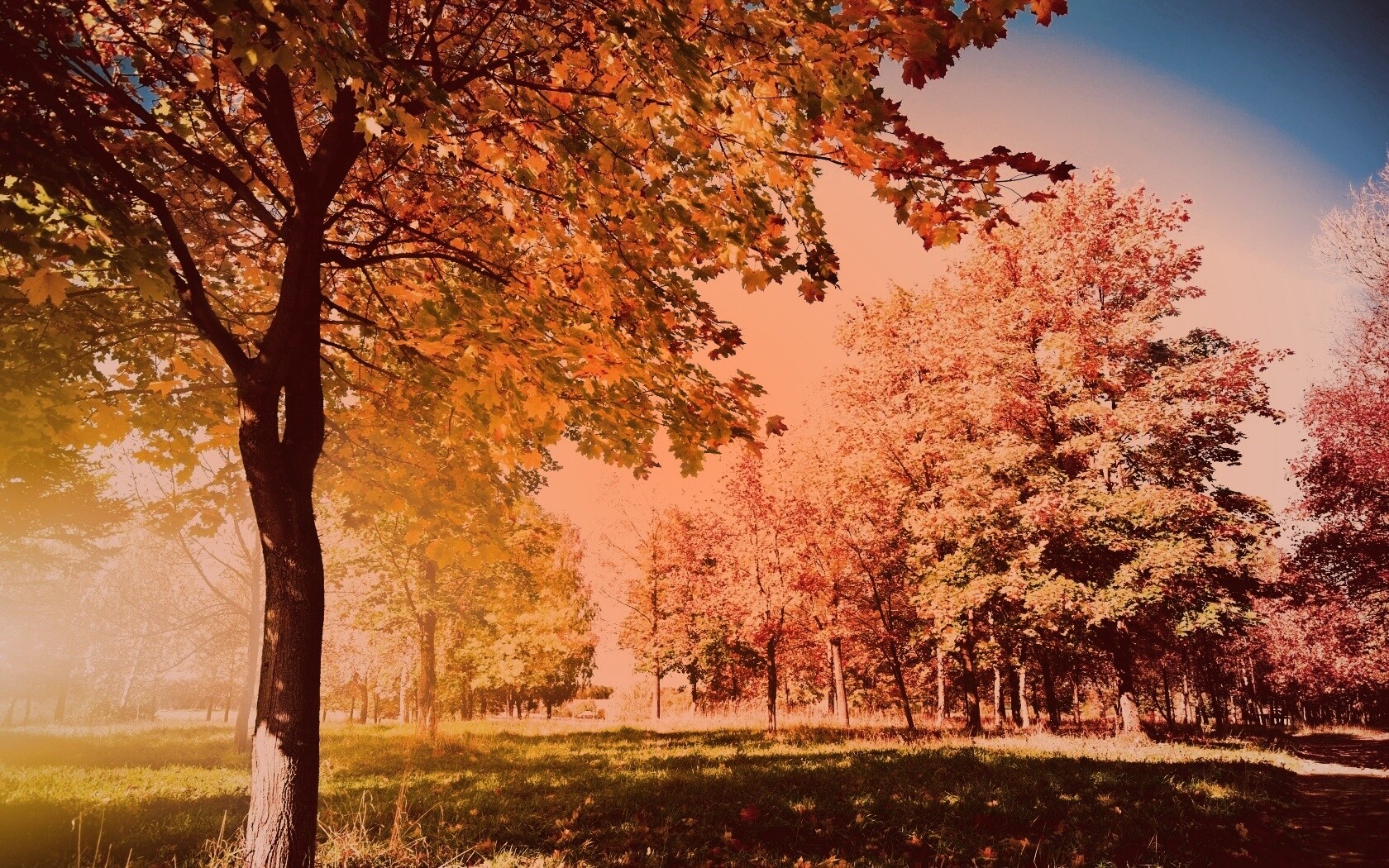 Осень в лесу обои