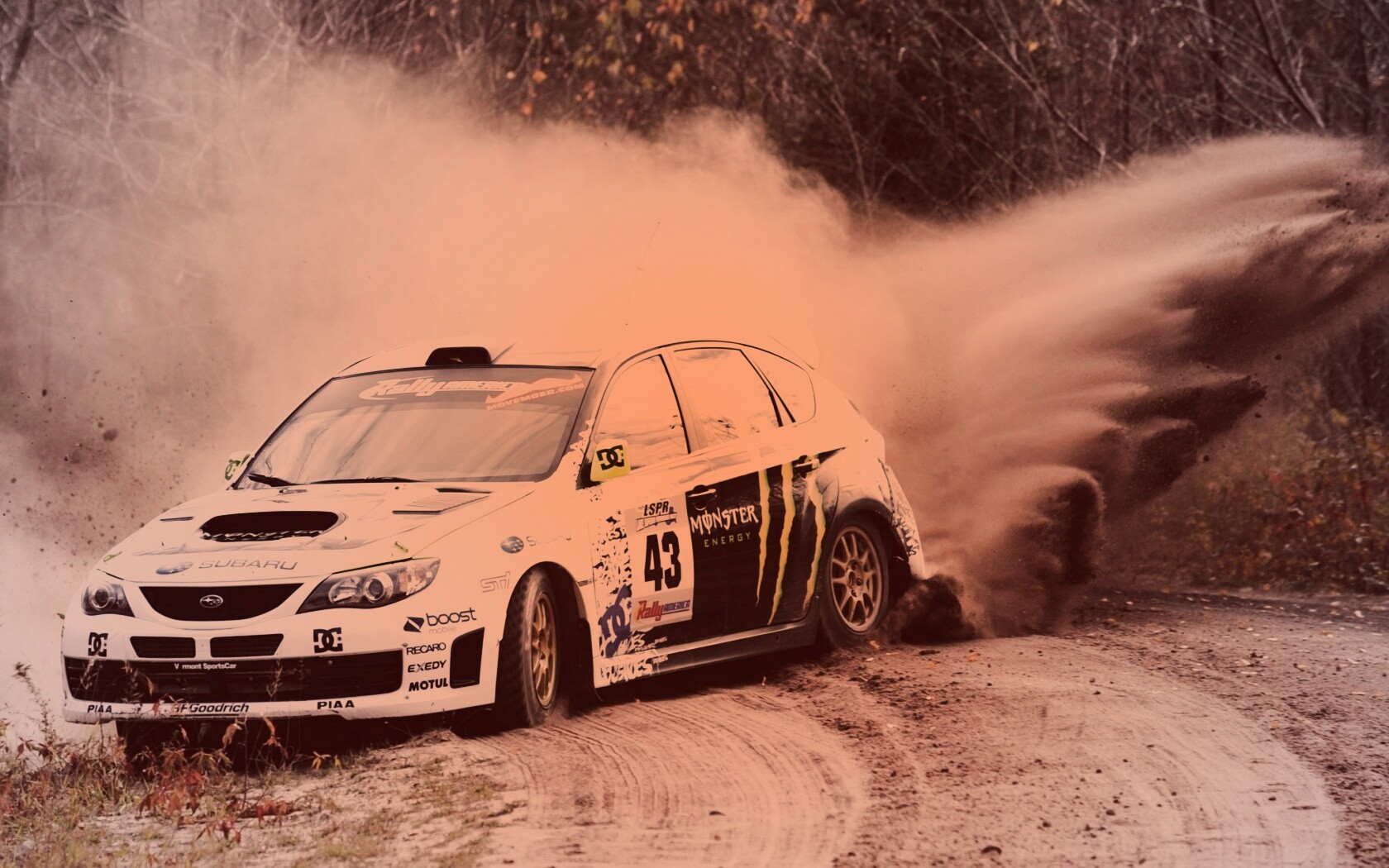 Раллийная гонка обои