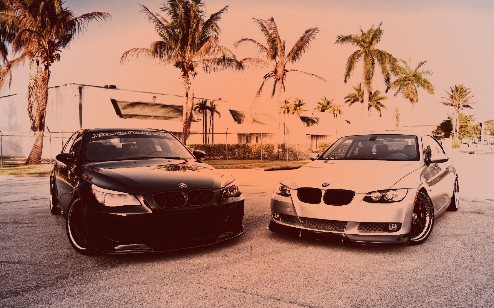 Две БМВ обои