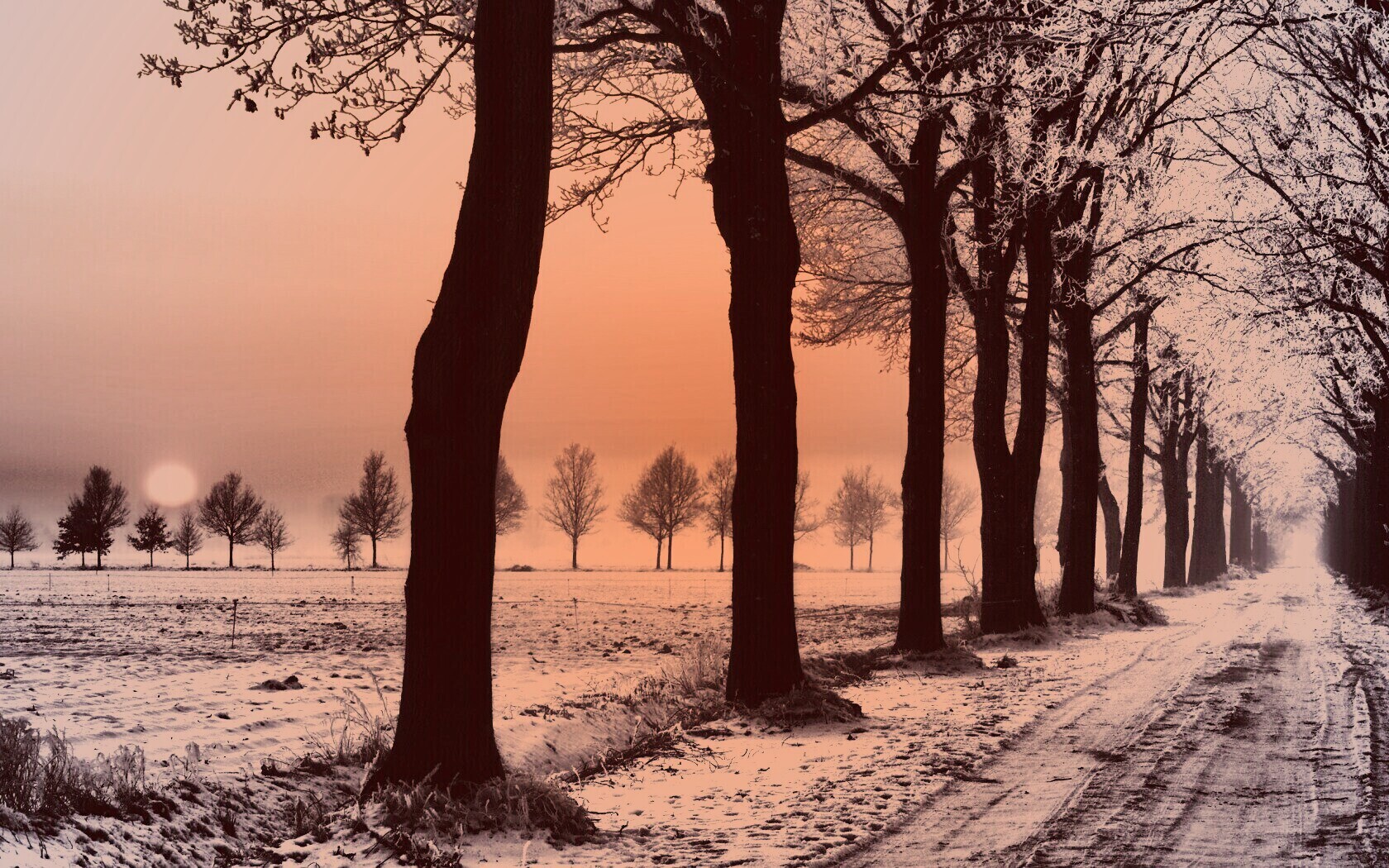 Морозное утро обои