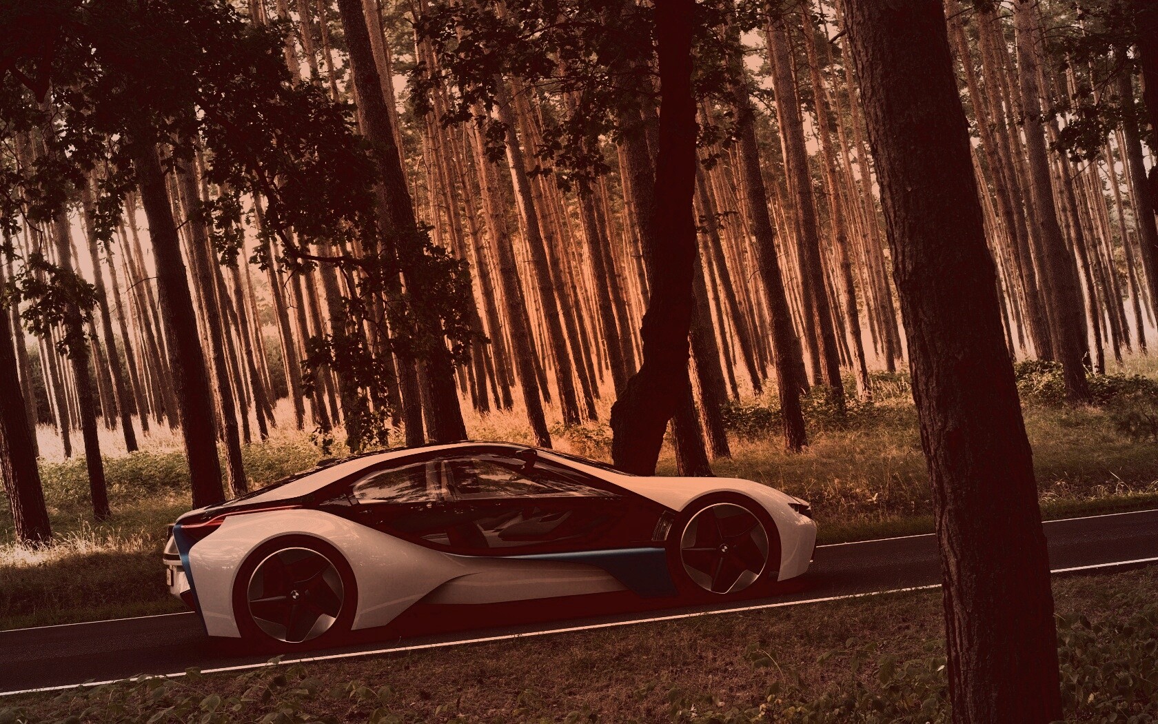 Спорткар BMW на лесной дороге обои