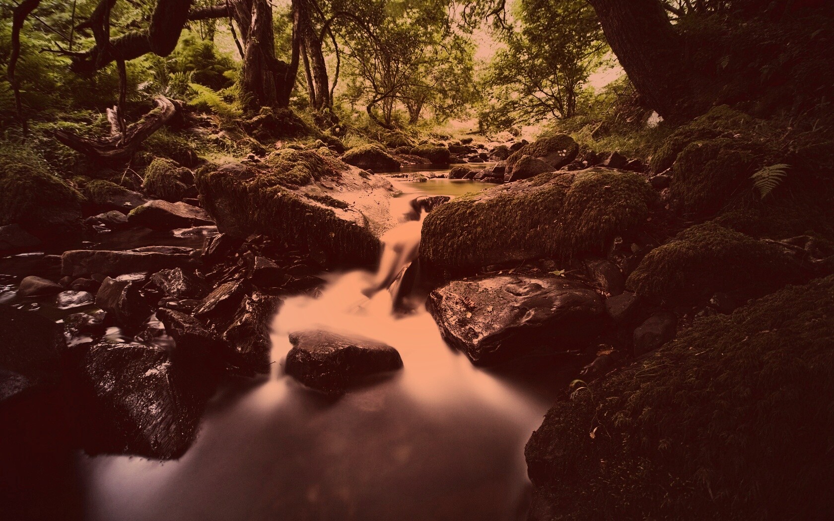 Речной поток в лесу обои