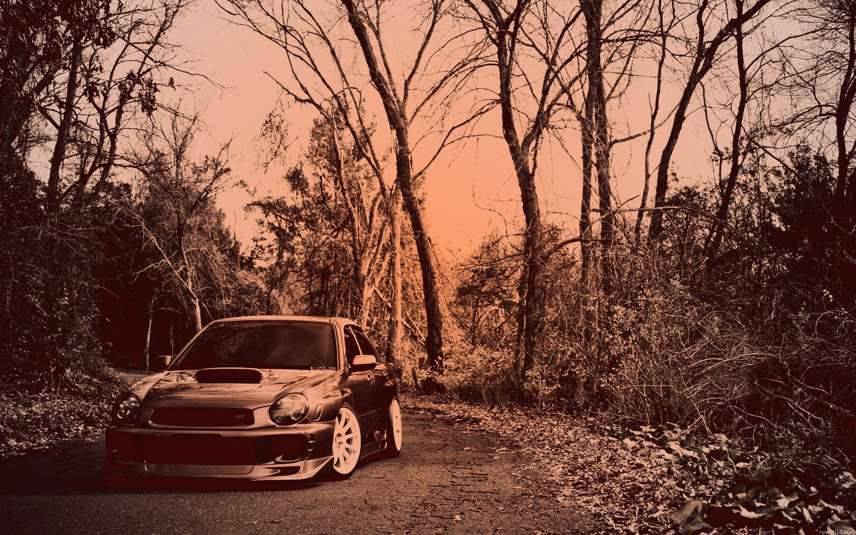 Субару Импреза на лесной дороге обои