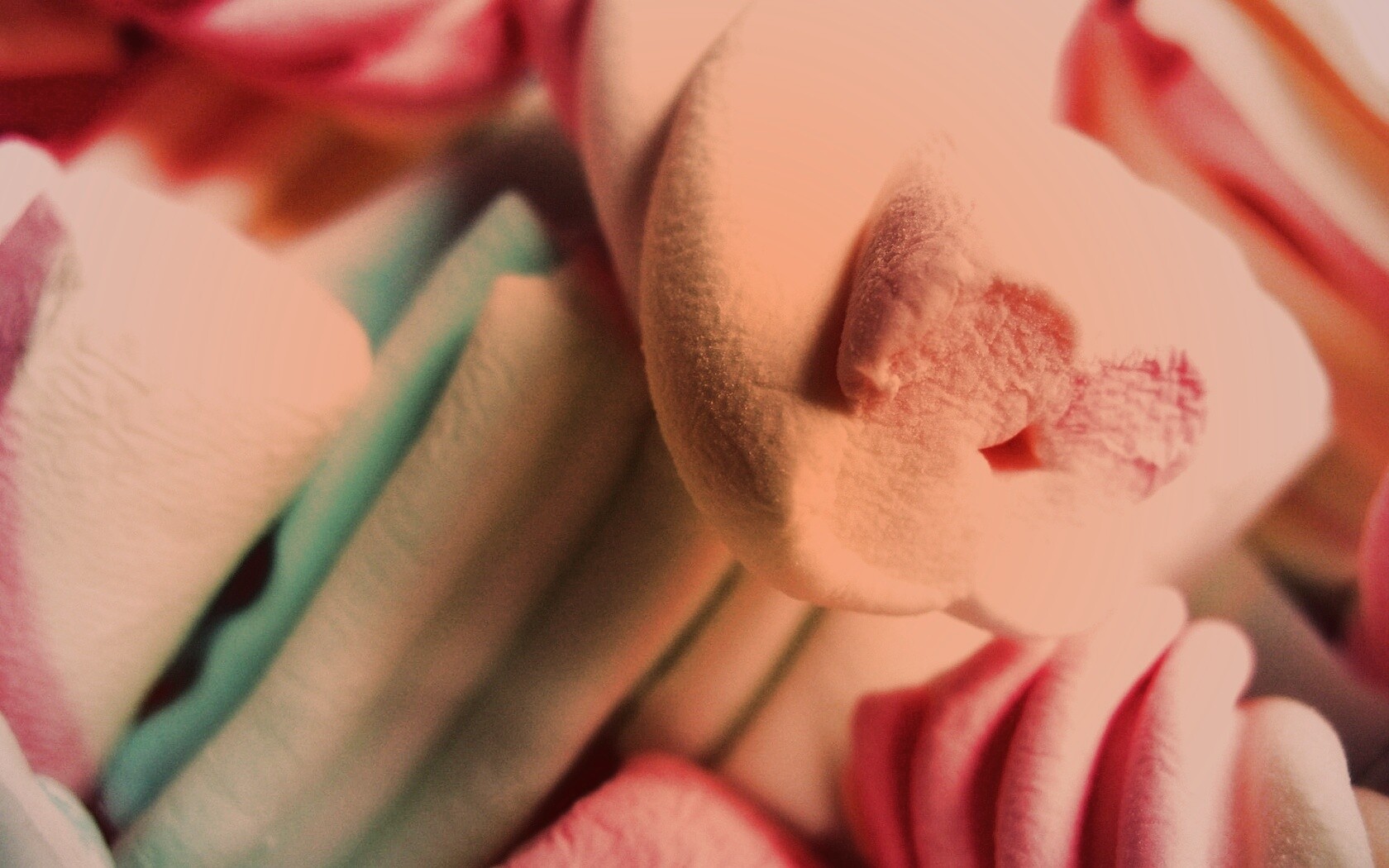 Кручёный зефир обои