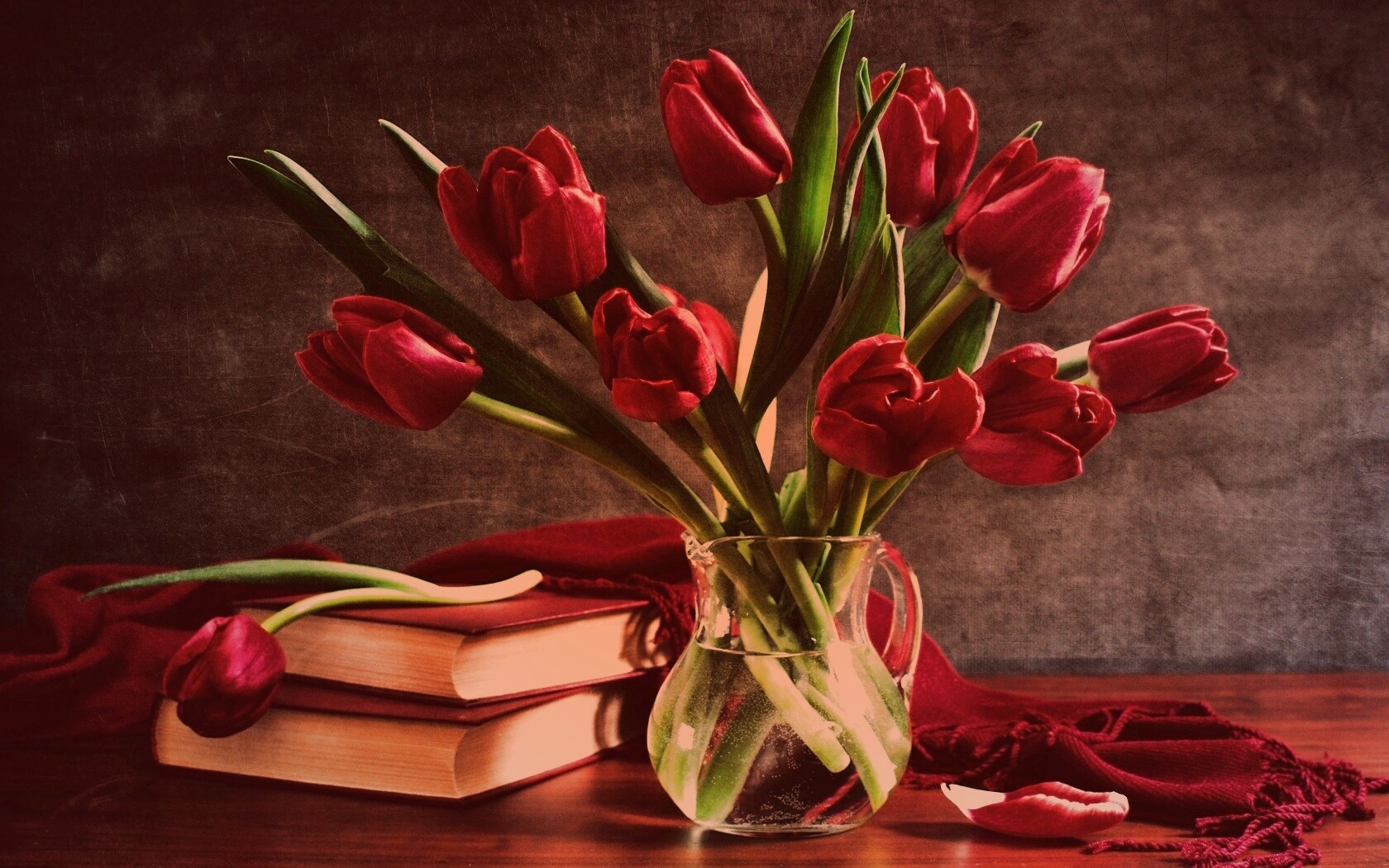 Букет красных тюльпанов обои