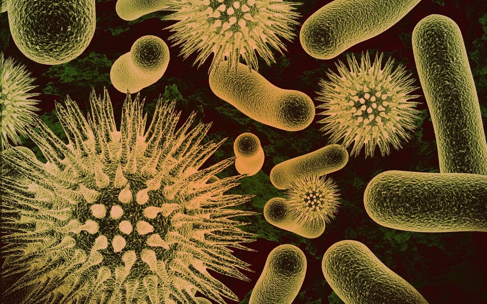 Бактерии обои