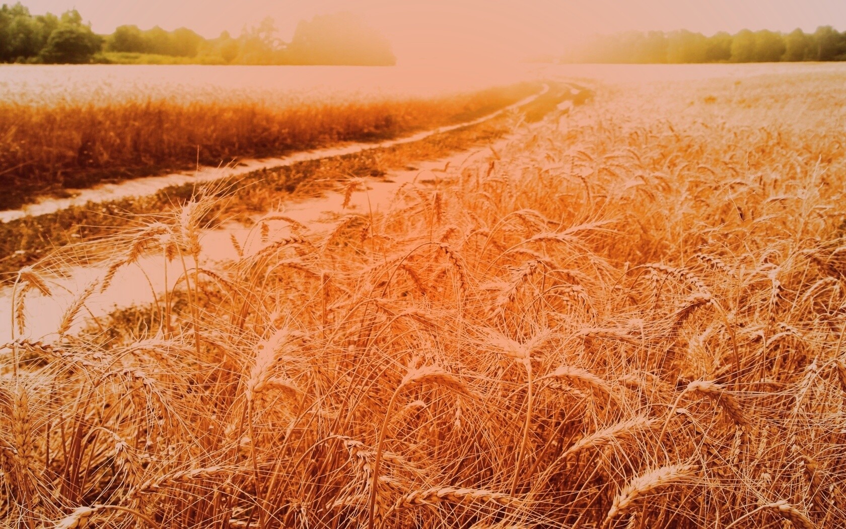 Речка среди поля обои