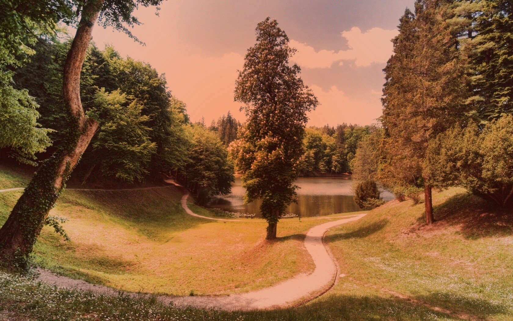 Прекрасная природа обои