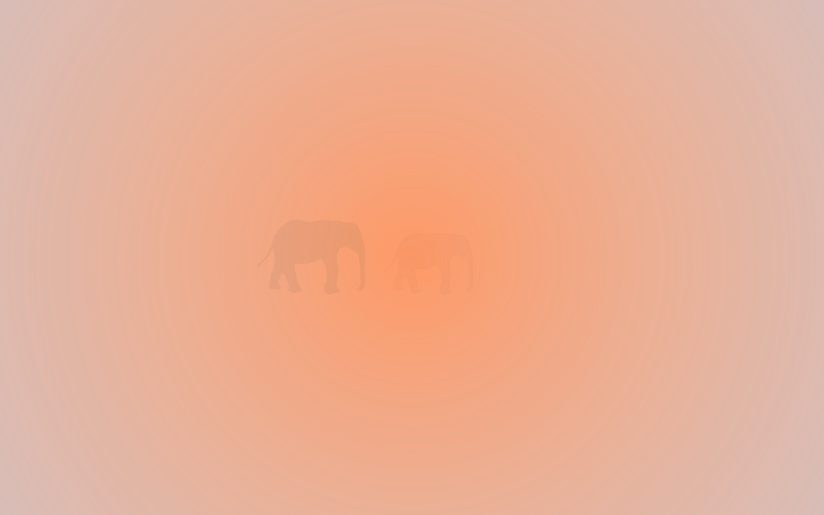 Вереница слонов обои