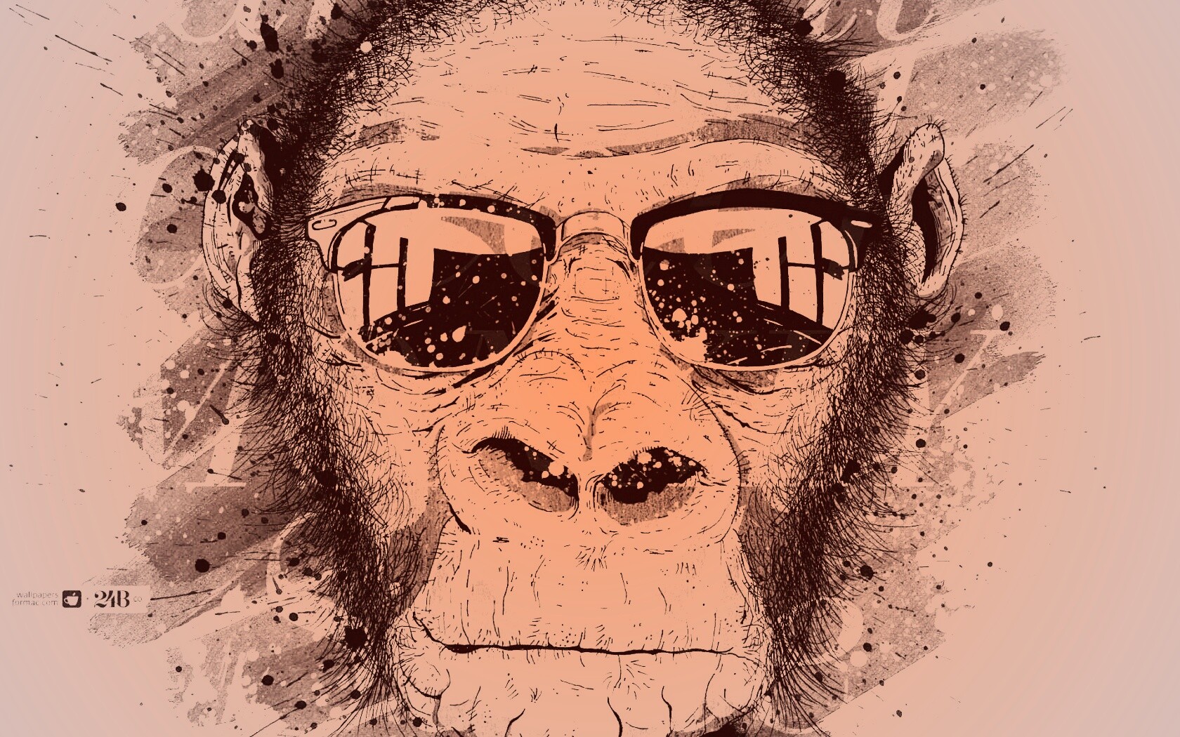 Макака в очках обои