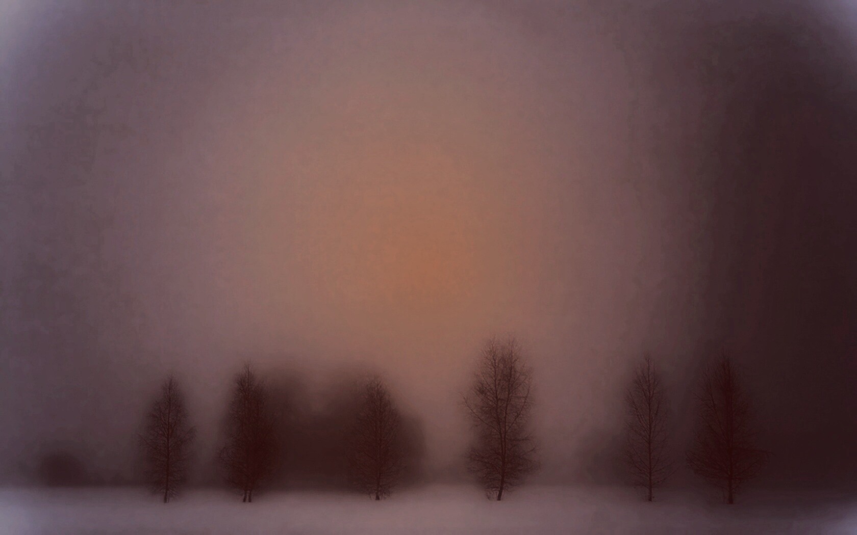 Деревья в тумане обои