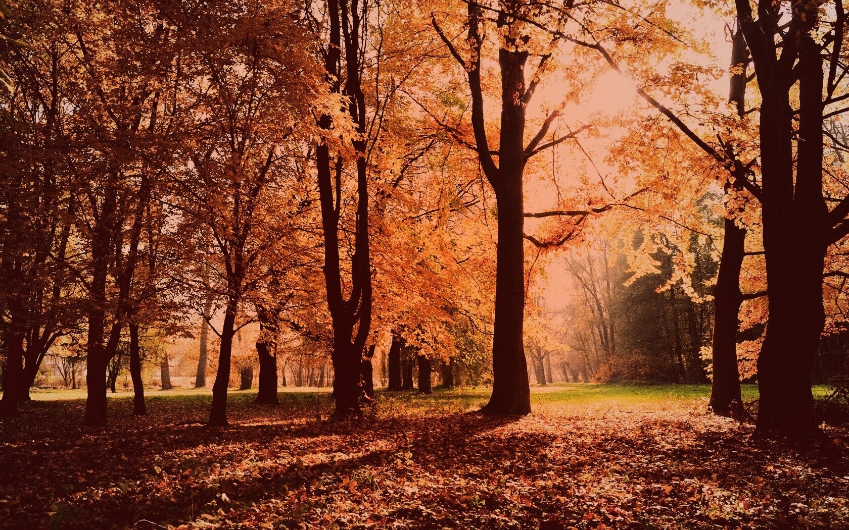Осенний листопад в парке обои