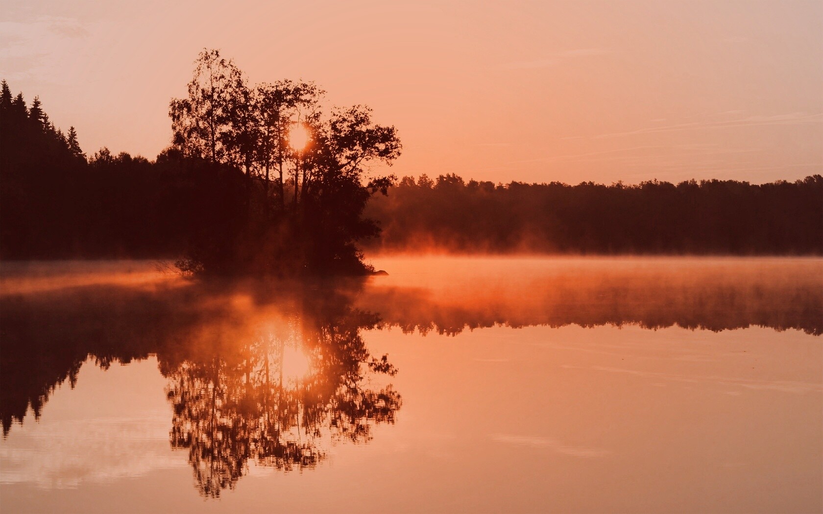 Туманное утро обои