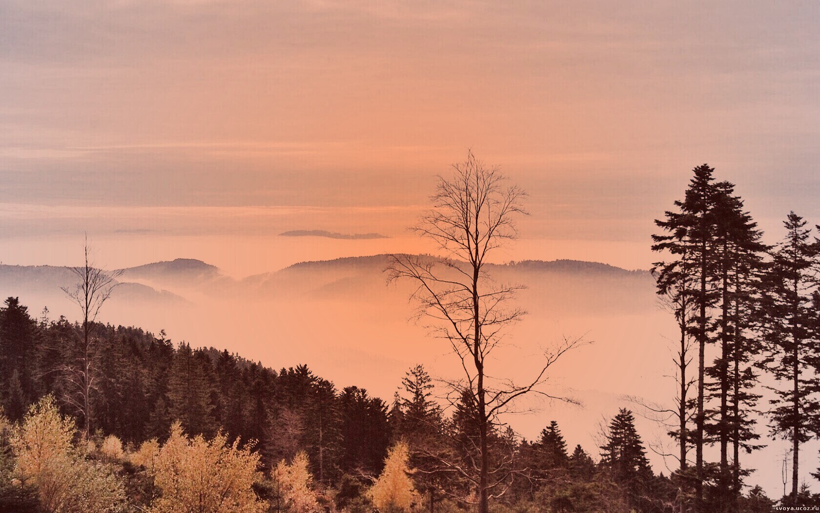 Холмы в тумане обои
