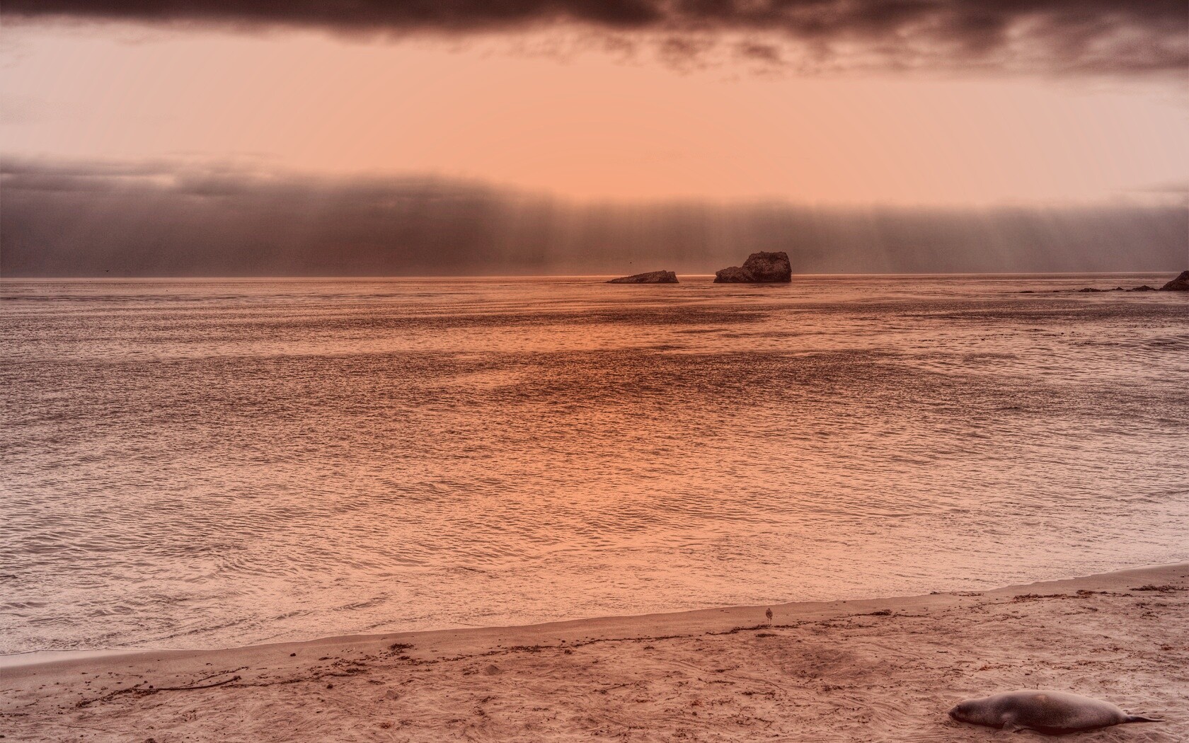 Пляж на фоне светящегосы неба обои