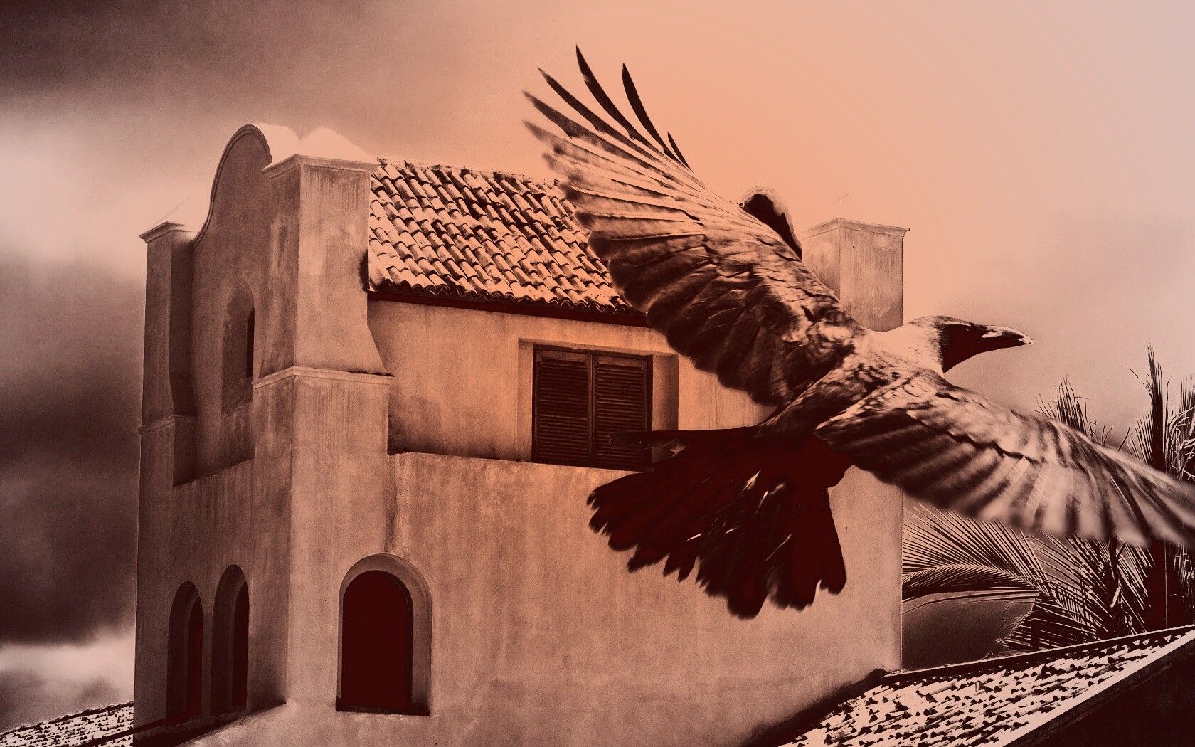 Полёт ворона обои