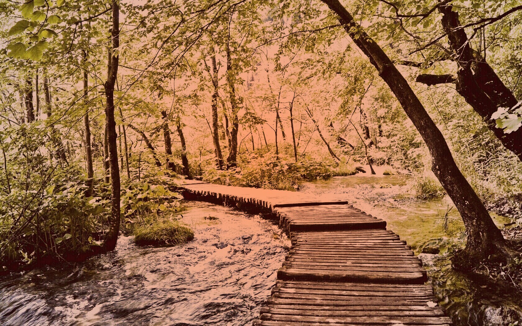 Тропинка над водой обои