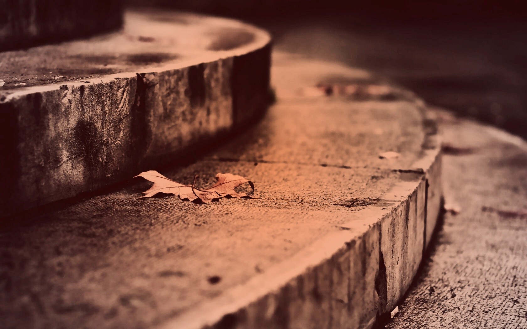 Лист на ступеньках обои