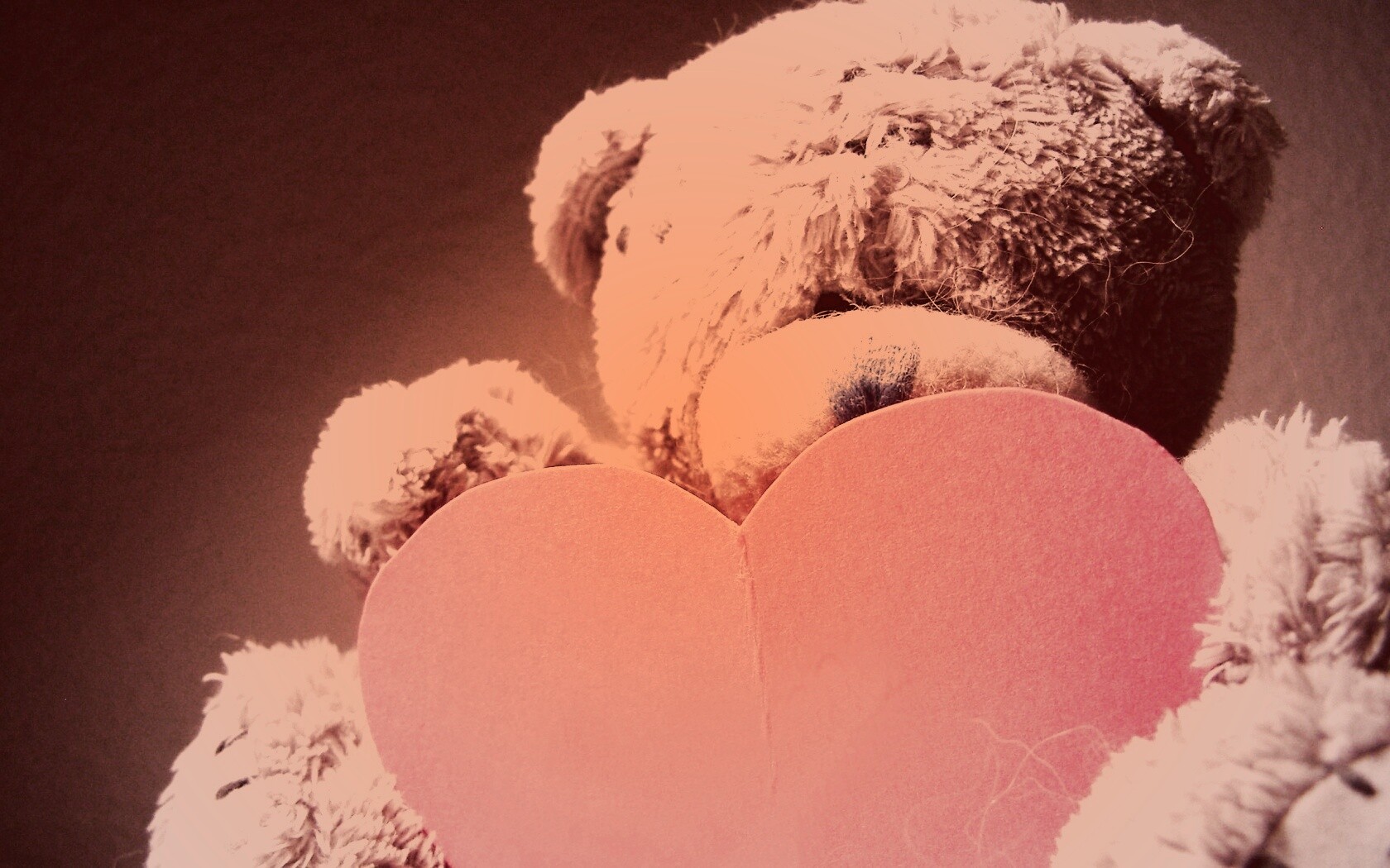 Мишка с сердцечком обои