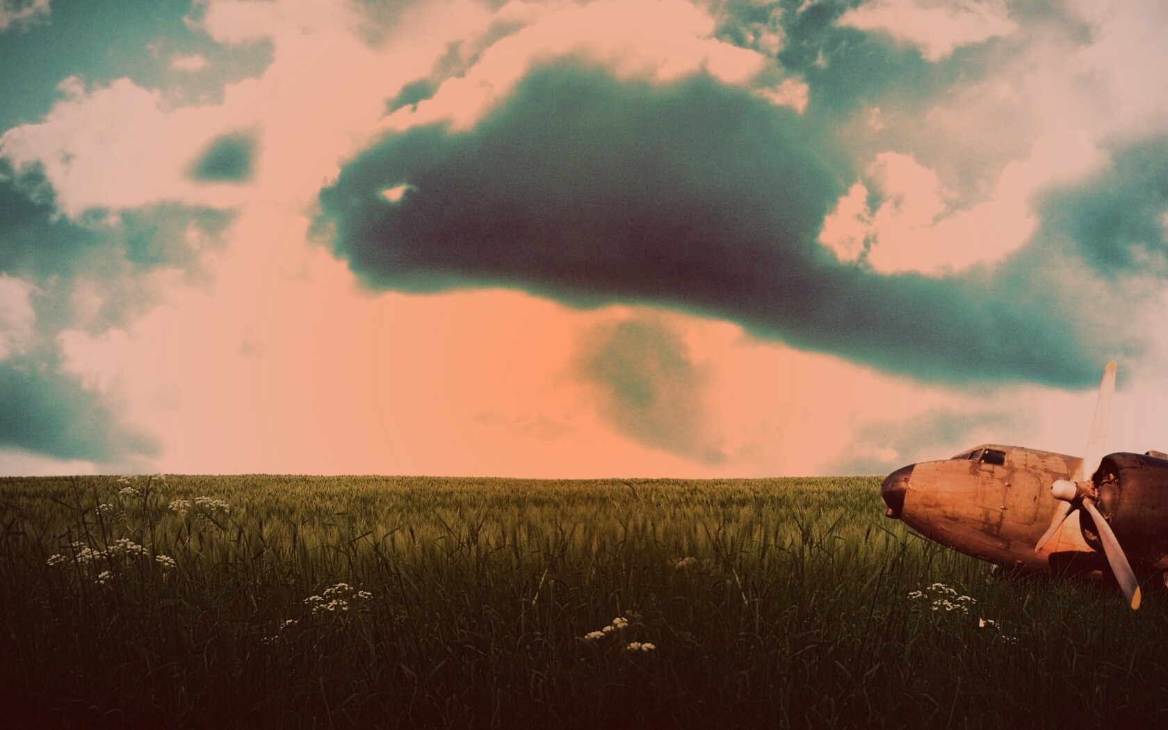 Старый ржавый самолет на лугу обои