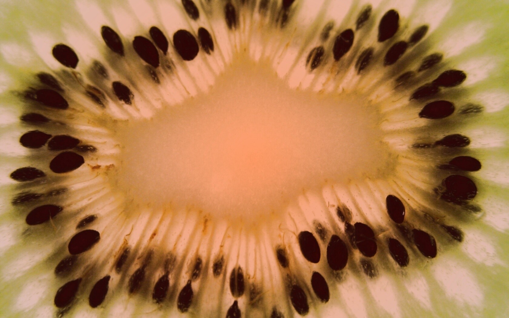 Макро фото киви в разрезе обои