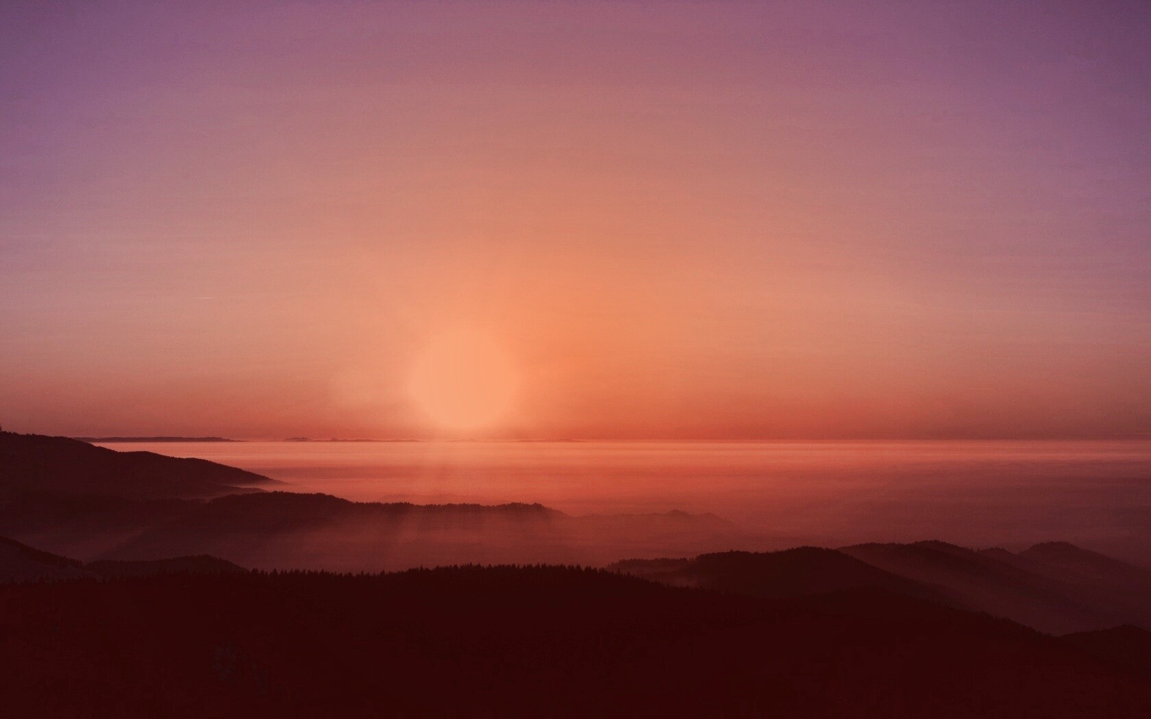 Восход солнца над лесом обои