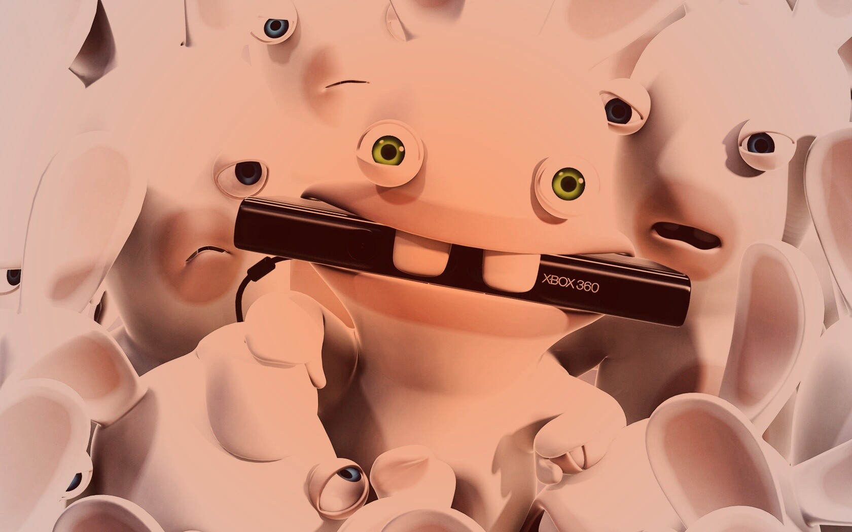 Кролик грызет кинект обои