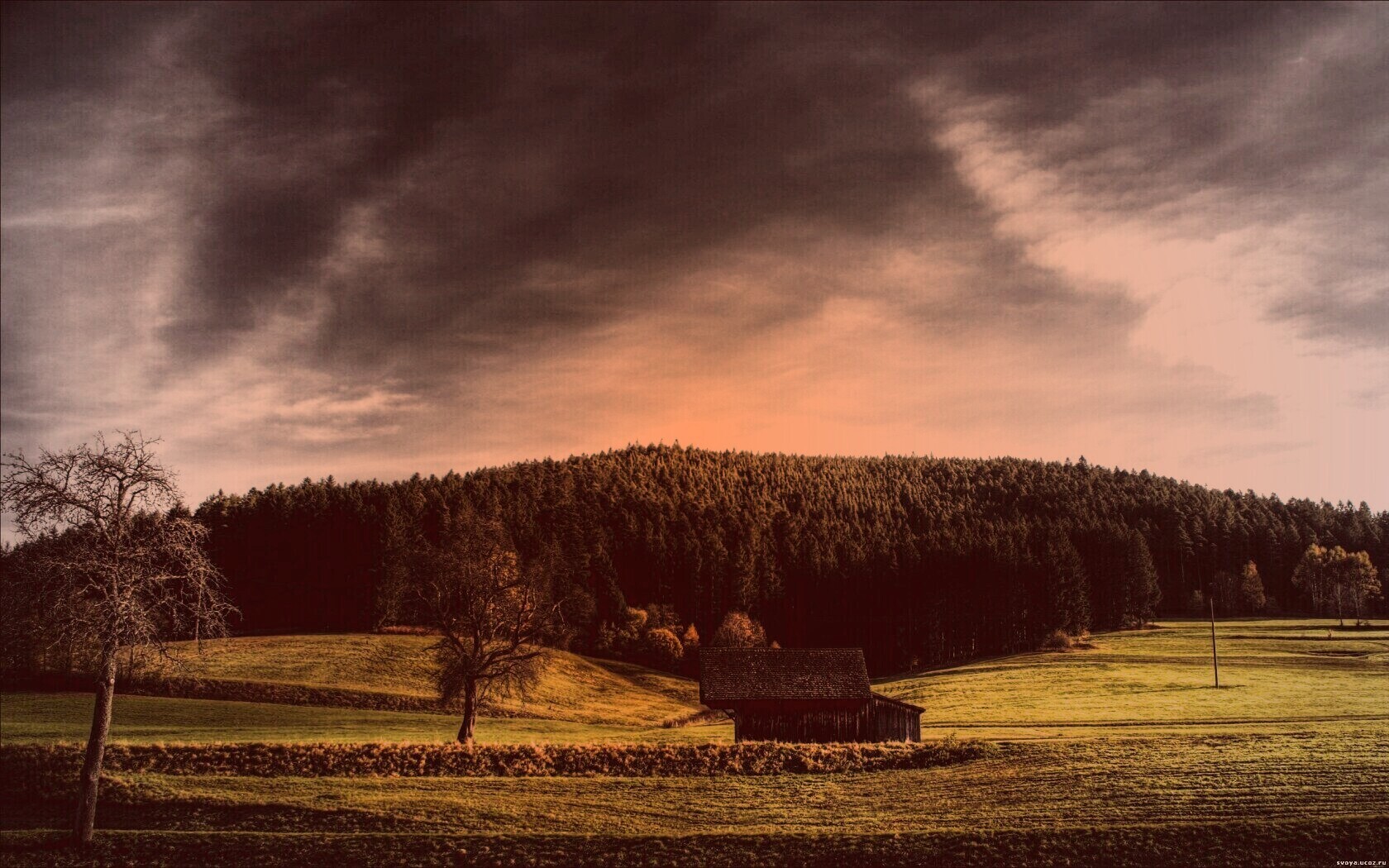 Домик в поле обои