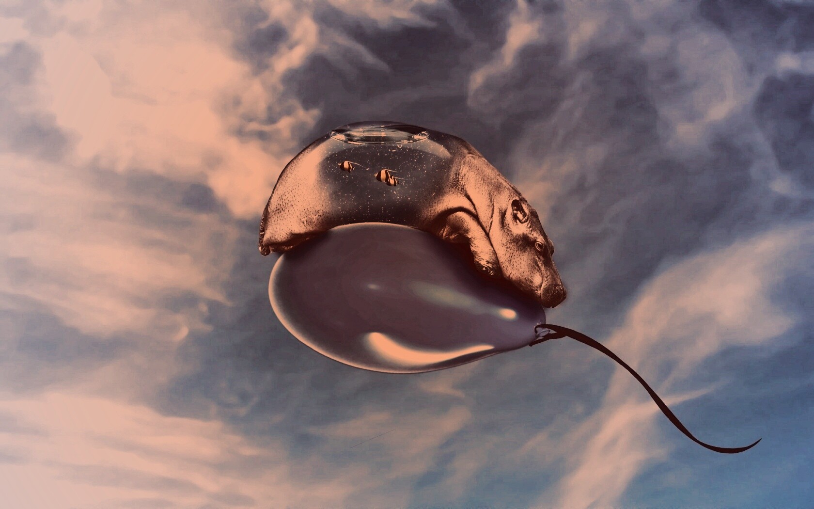 Водяной гиппопотам на шарике обои