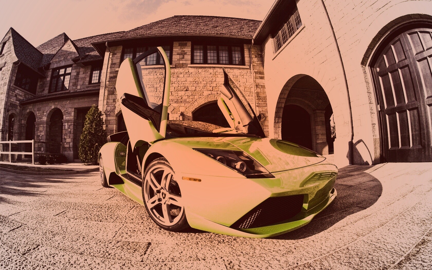 Зеленая ламба обои