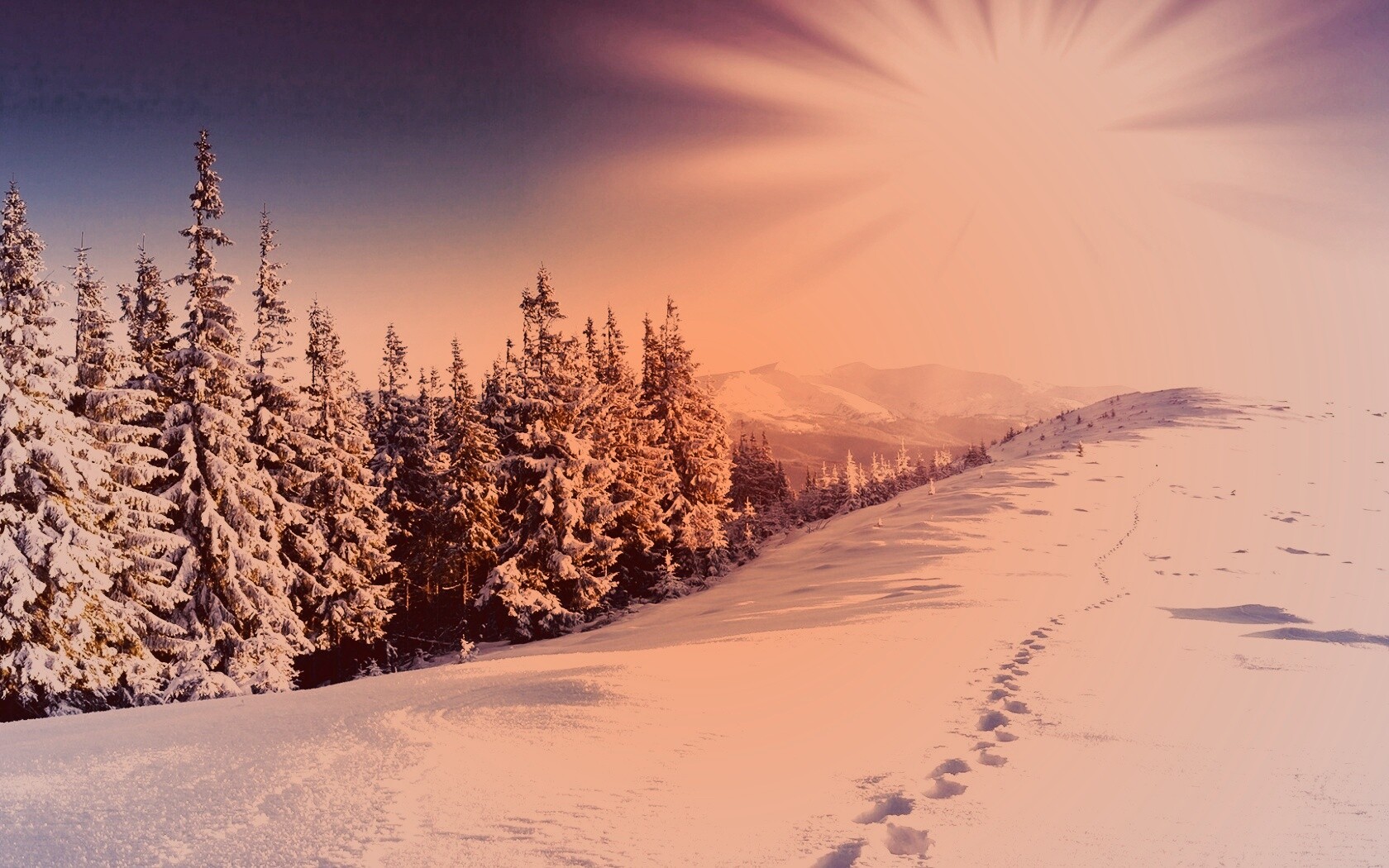 Холодные лучи зимнего солнца обои