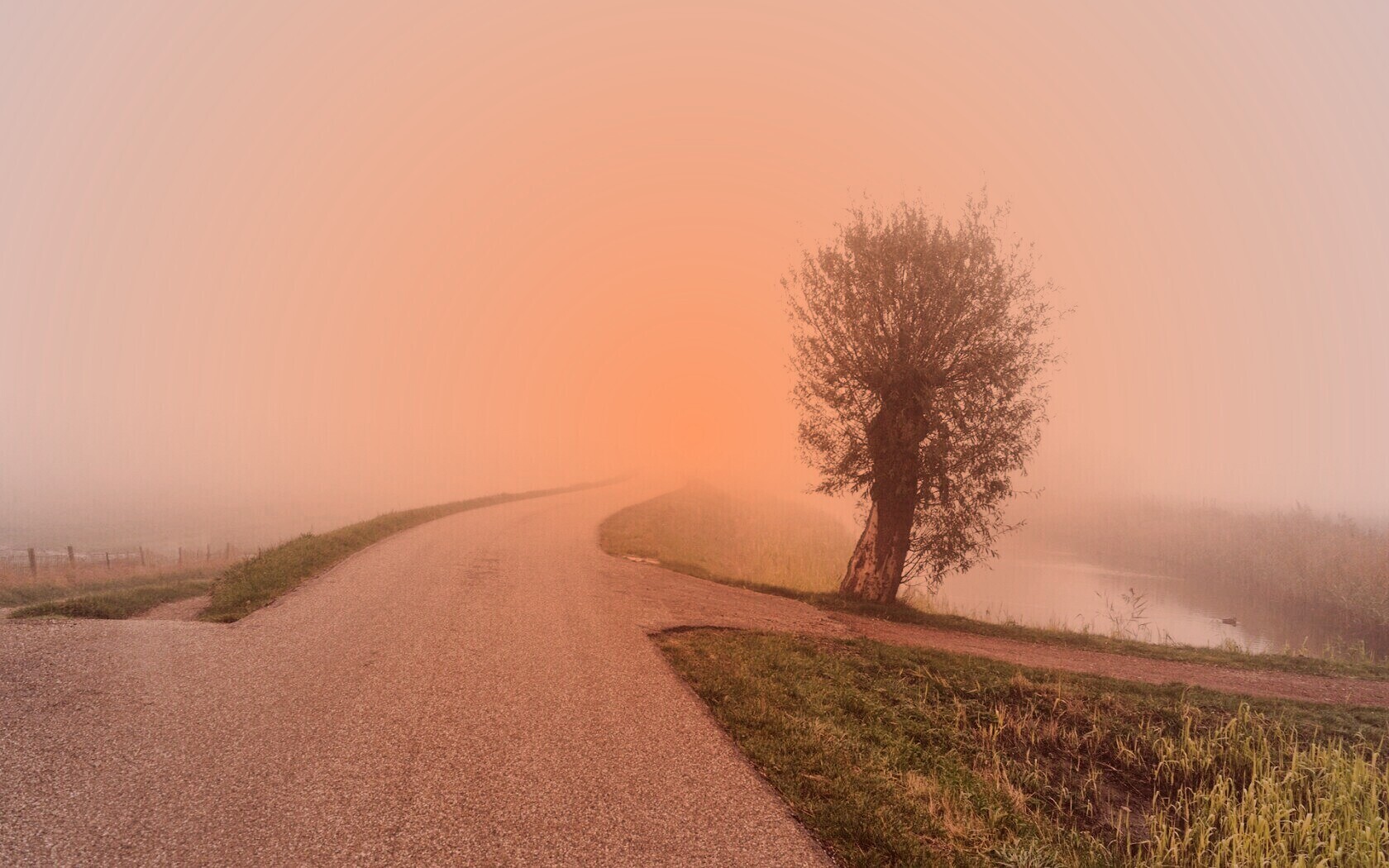 Дорога растворяется в тумане обои