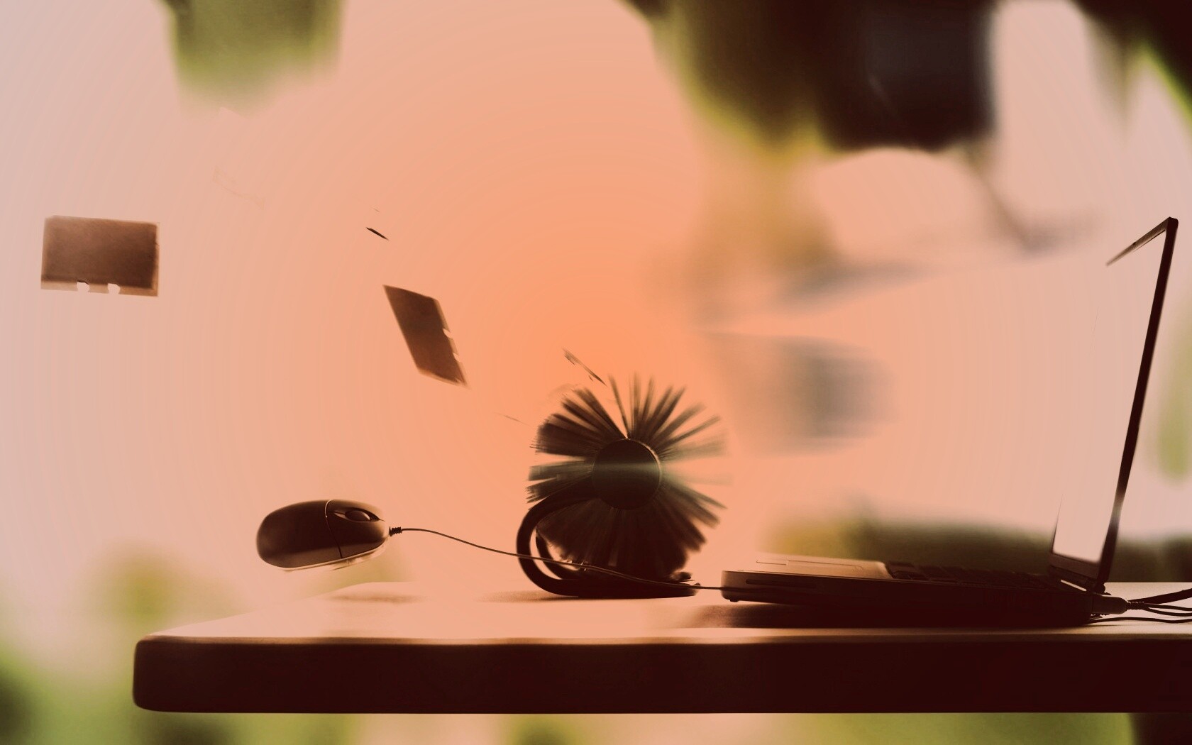 Дуновение цифрового ветра обои