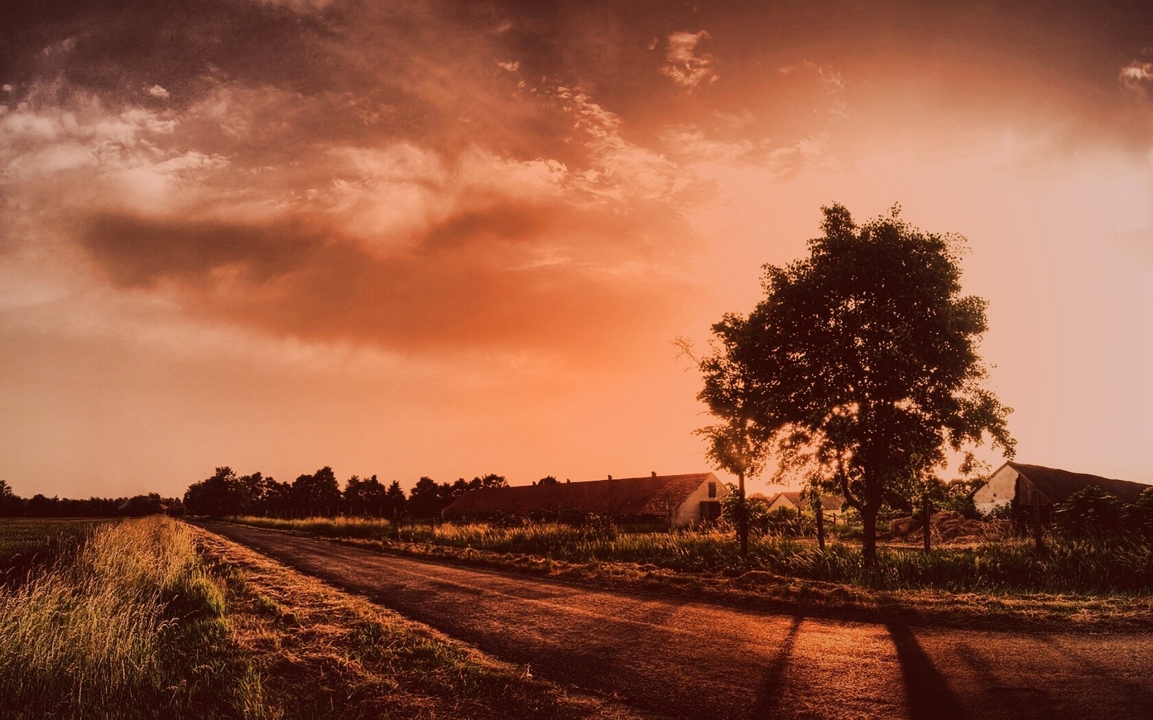 Закат на фоне дерева в HDR обои