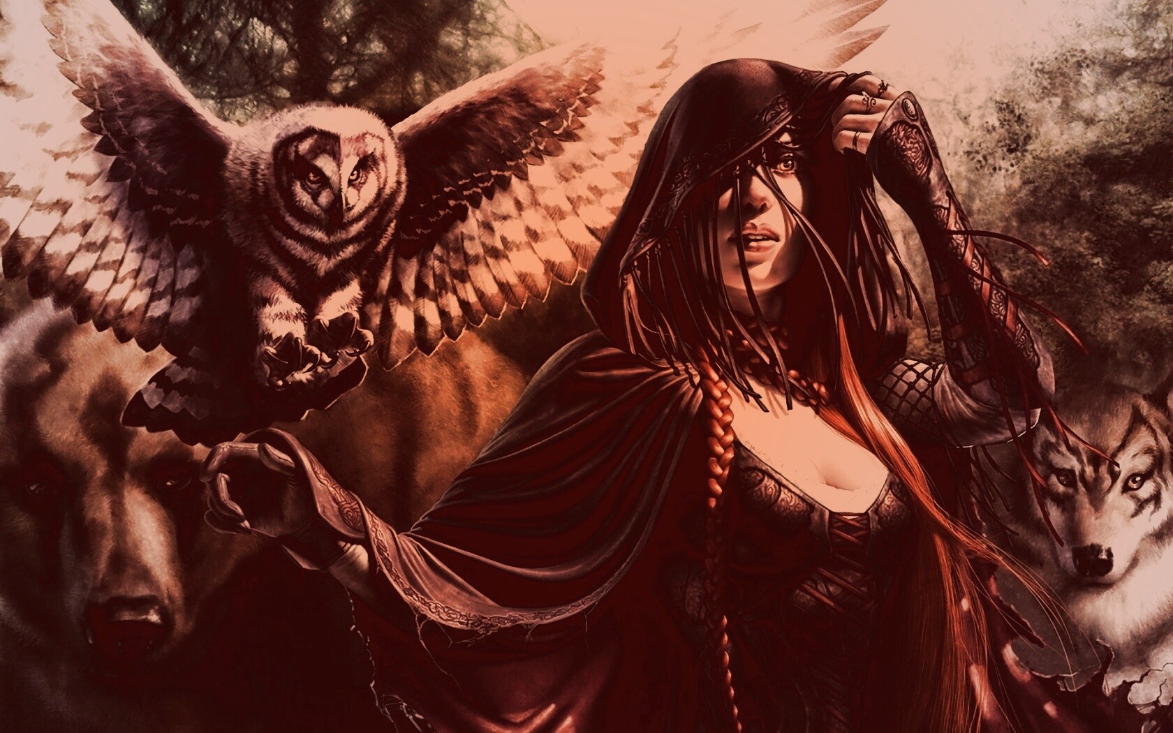 Magic: The Gathering обои