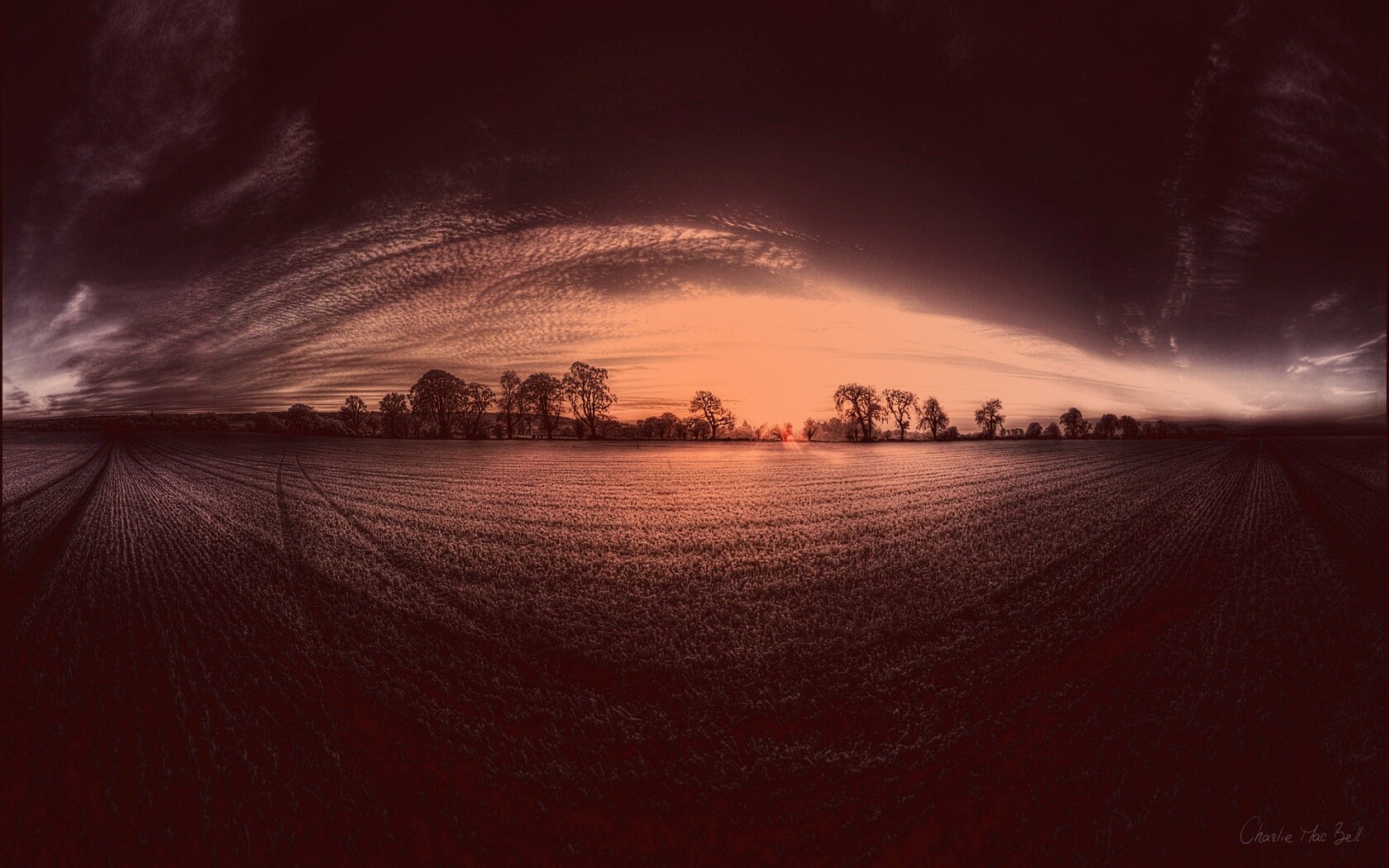 Поле широкоугольным объективом обои