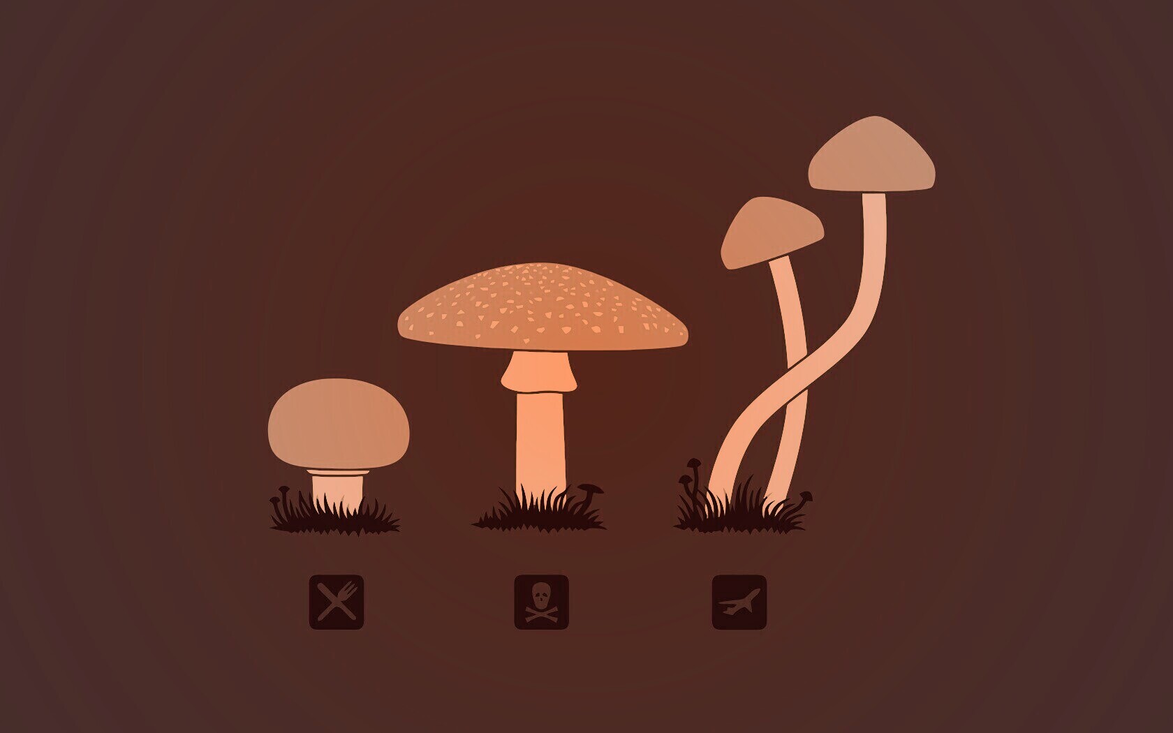 Грибочки обои