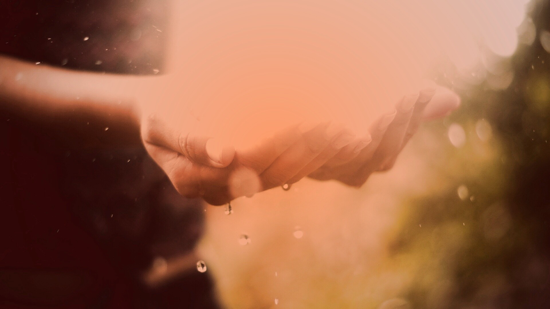 Дождь в ладонях обои