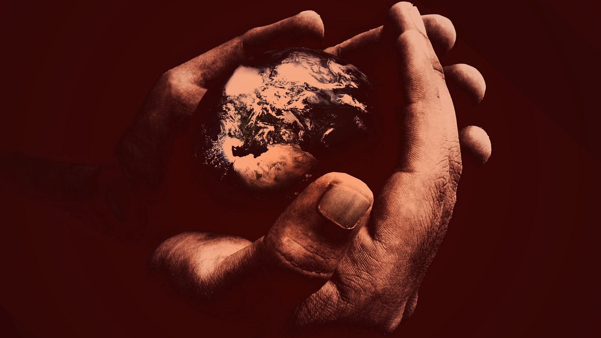 Мир в руках обои