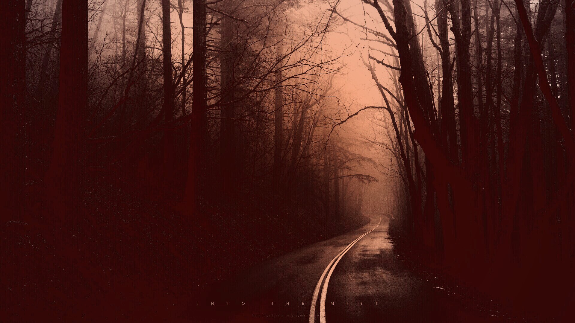 В туман обои