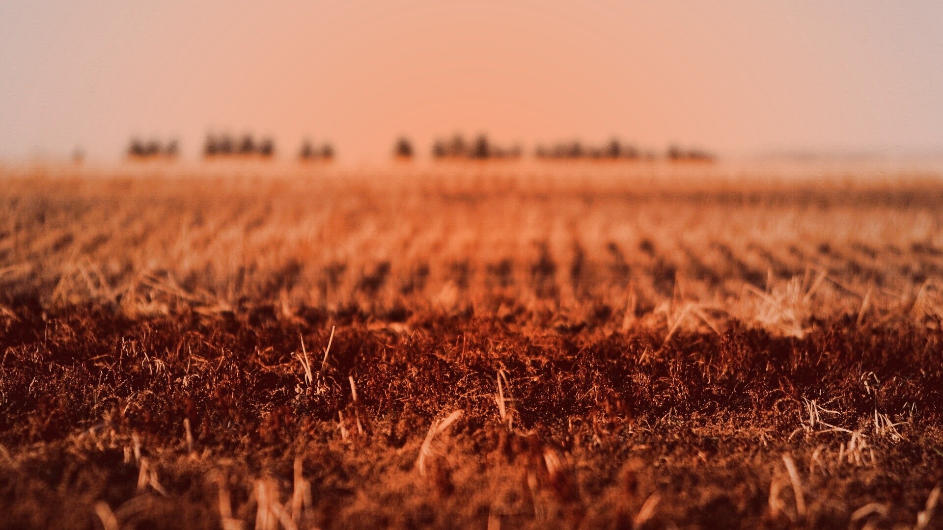 Поле перед вспашкой обои