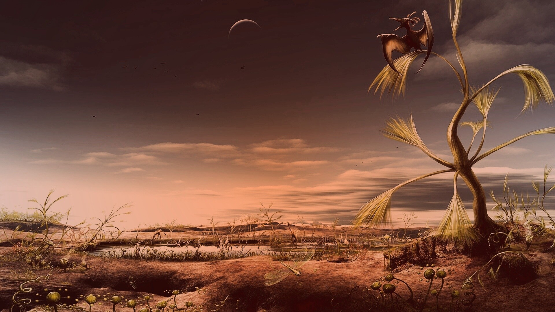 Флора и фауна другой планеты обои