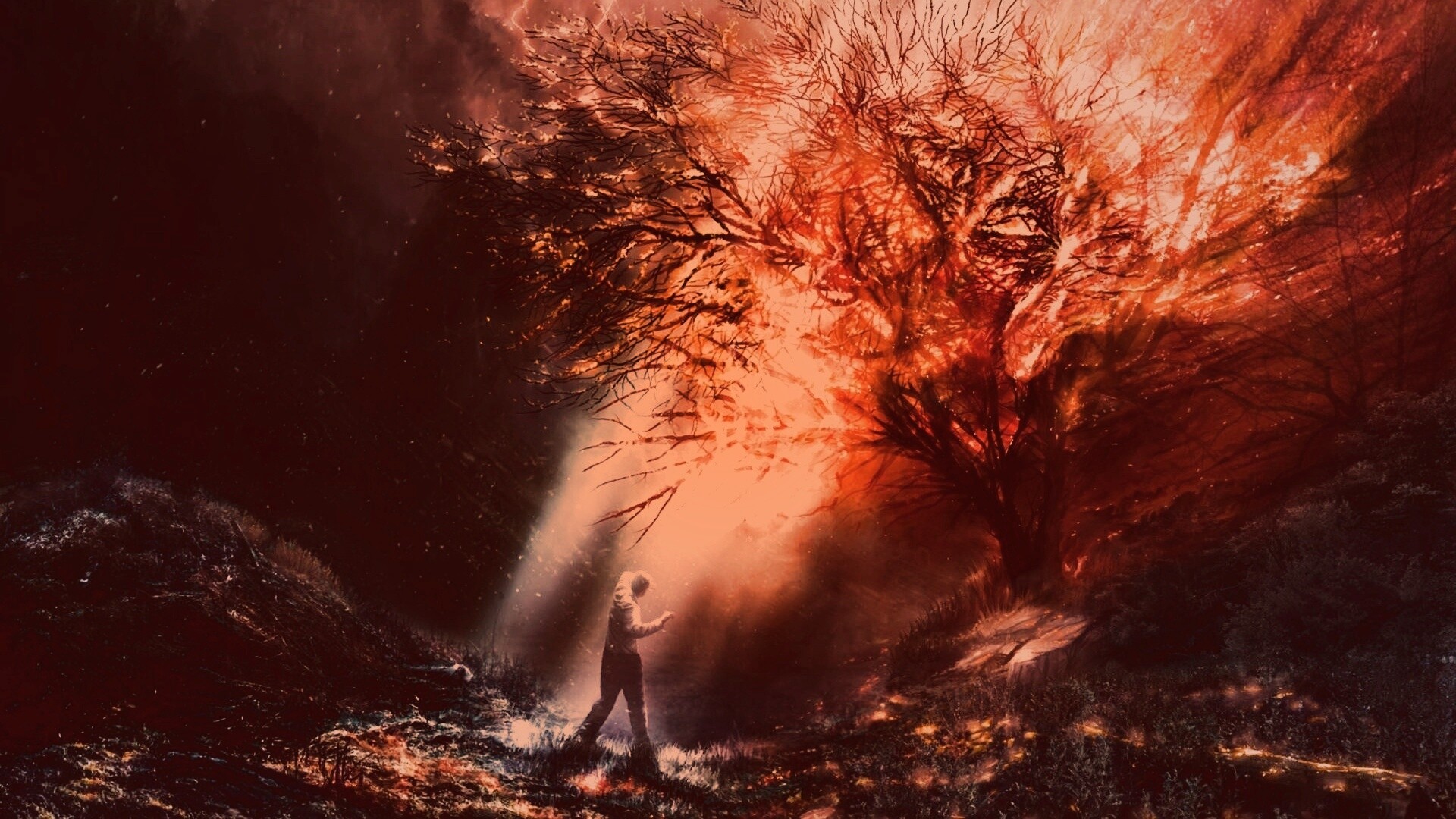 Горящее дерево обои